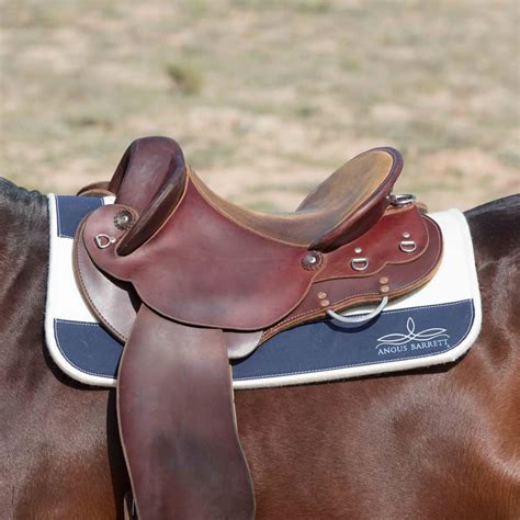 angus barrett saddle pad